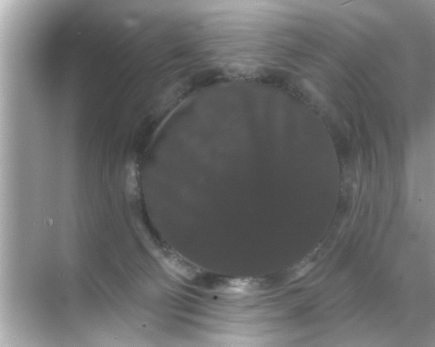 X0000070860130200606302055