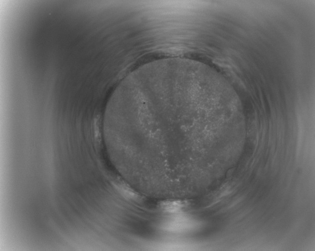 X0000070860131200606302055