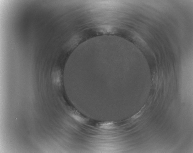 X0000070860132200606302055