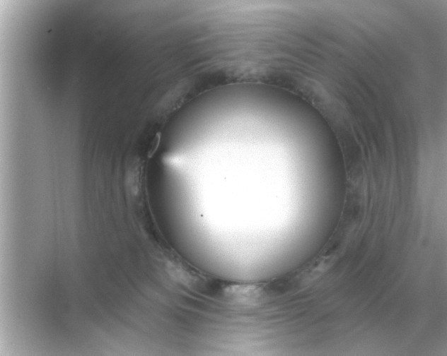 X0000070860133200606302055