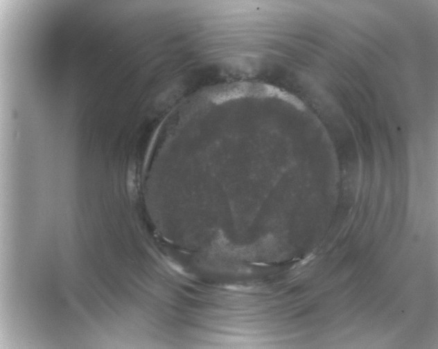 X0000070860134200606302055