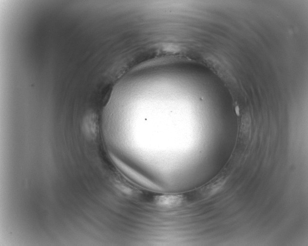 X0000070860135200606302055