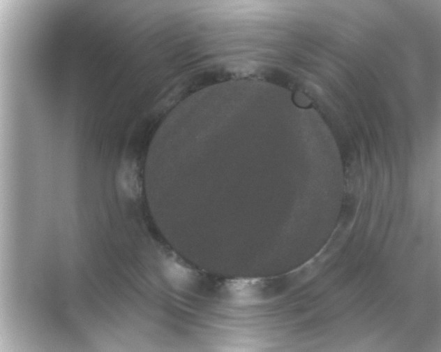 X0000070860136200606302055