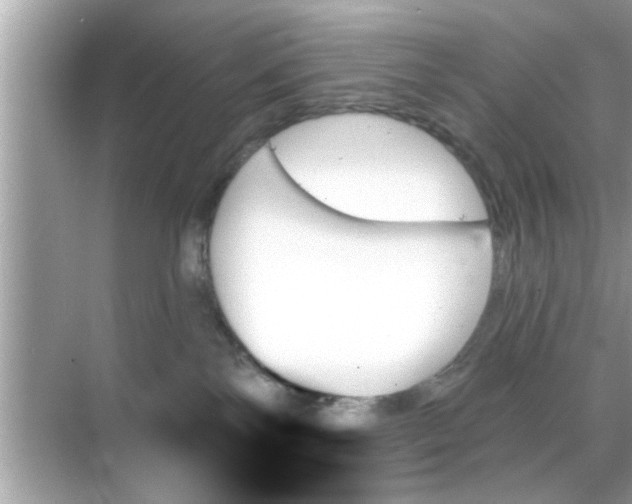 X0000070860138200606302055