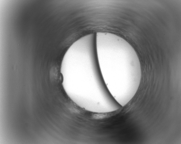 X0000070860139200606302055