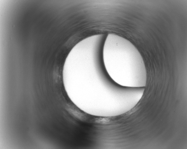 X0000070860140200606302055