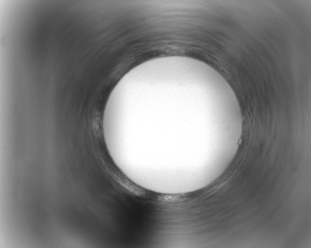 X0000070860141200606302055