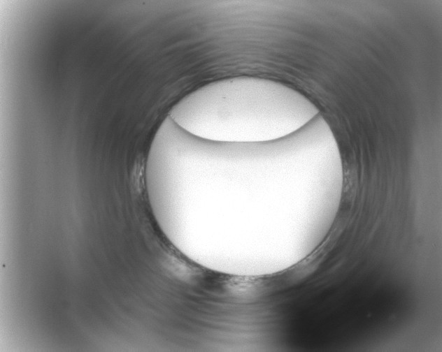 X0000070860142200606302055