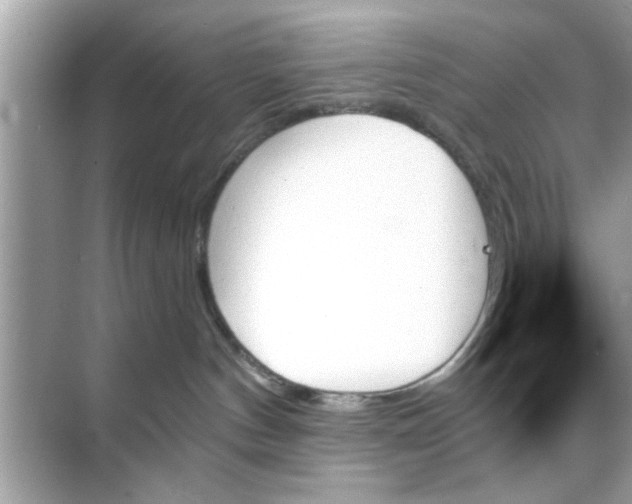 X0000070860144200606302055