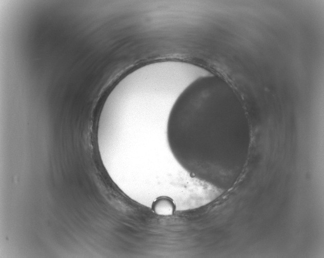 X0000070860146200606302054