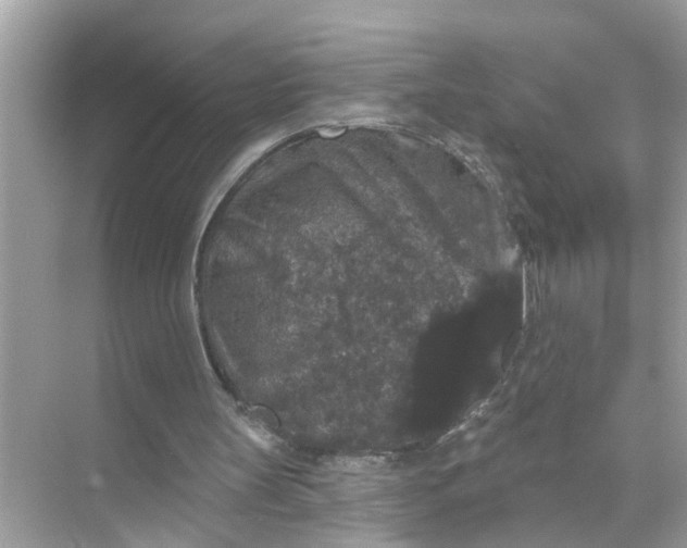 X0000070860147200606302054