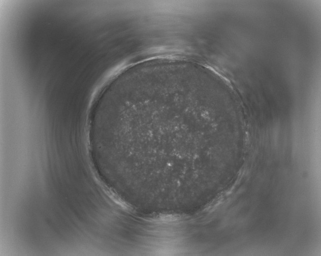 X0000070860149200606302055