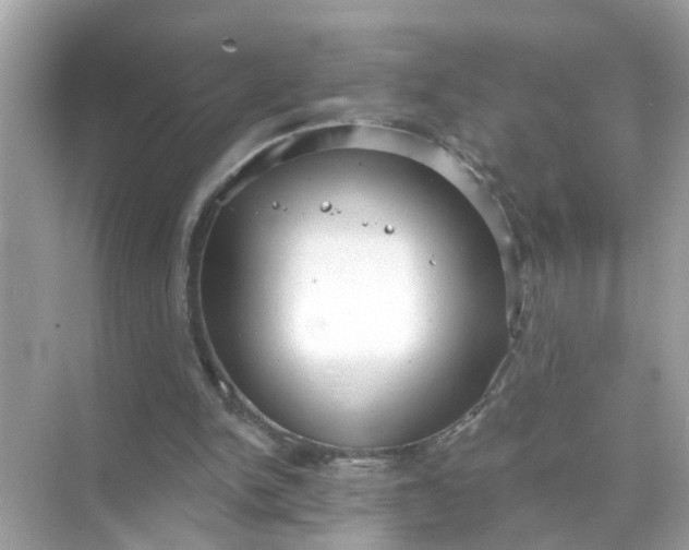 X0000070860150200606302055