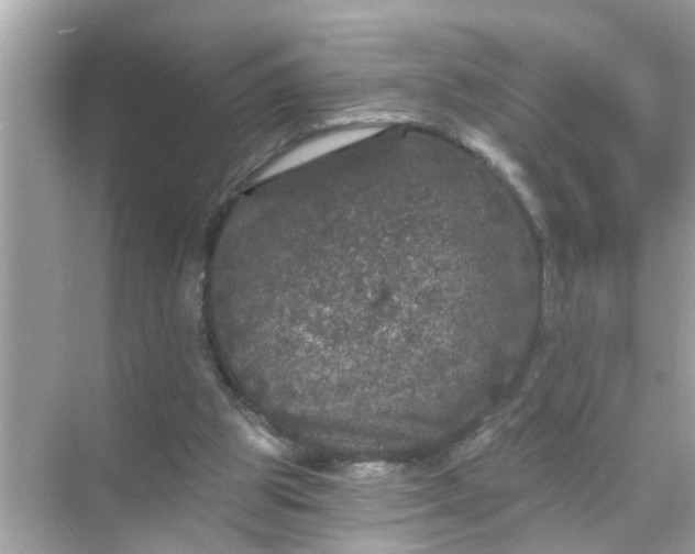 X0000070860153200606302055