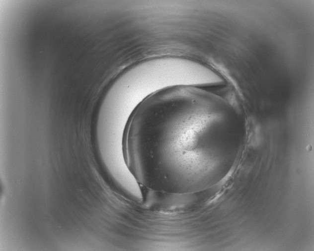 X0000070860154200606302055