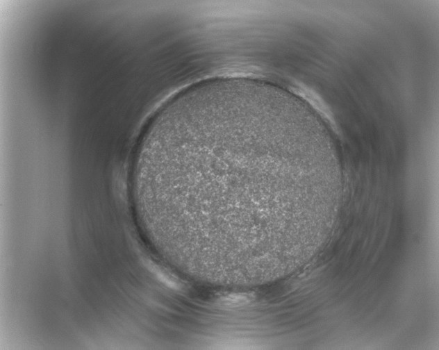 X0000070860155200606302055