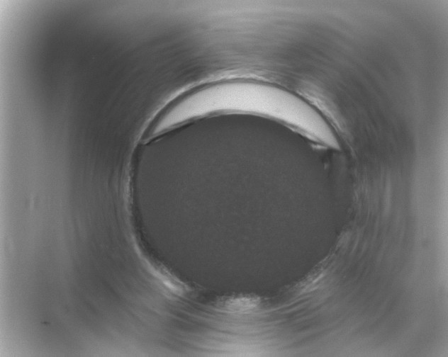 X0000070860156200606302055