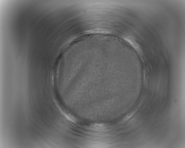 X0000070860157200606302055