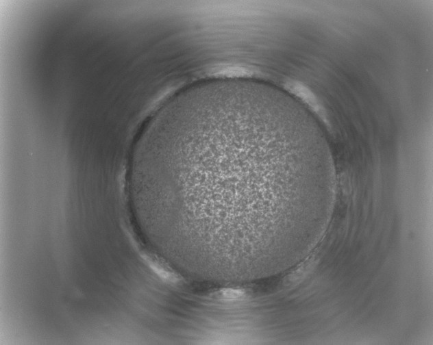 X0000070860159200606302055