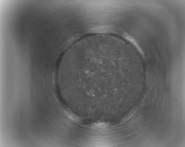 X0000070860161200606302055