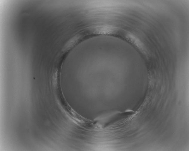 X0000070860163200606302055