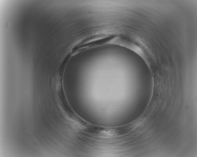 X0000070860164200606302055