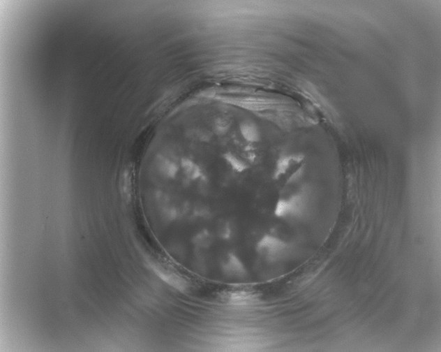 X0000070860165200606302055