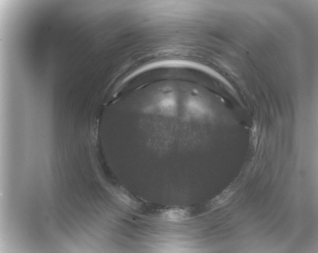 X0000070860168200606302055