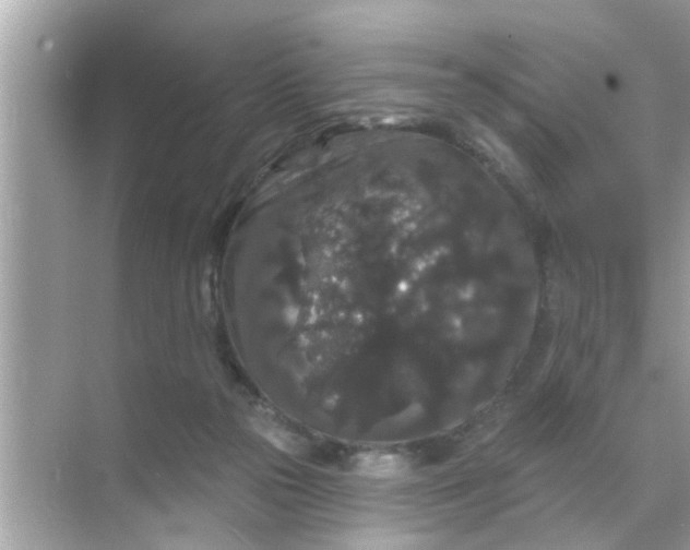 X0000070860169200606302055