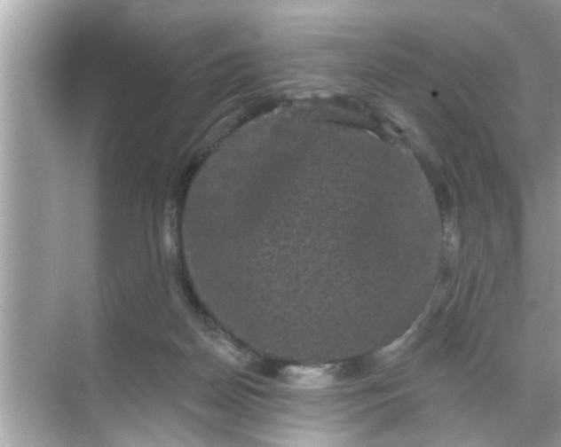 X0000070860170200606302055