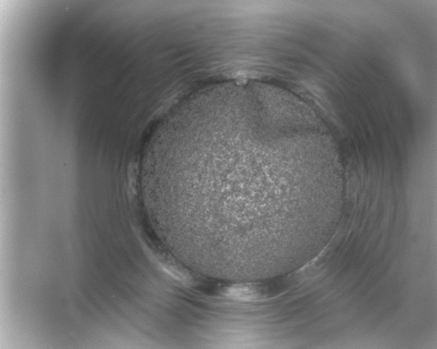 X0000070860171200606302055