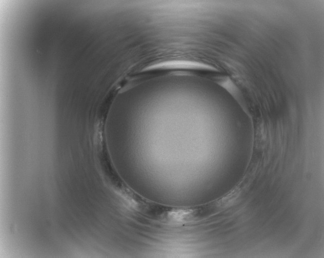 X0000070860172200606302055