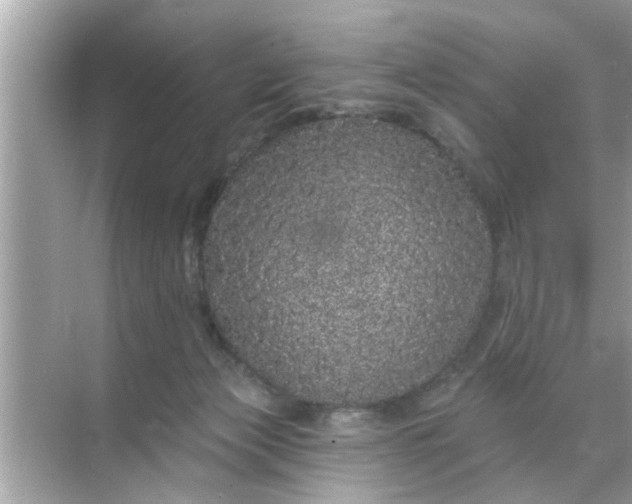 X0000070860173200606302055