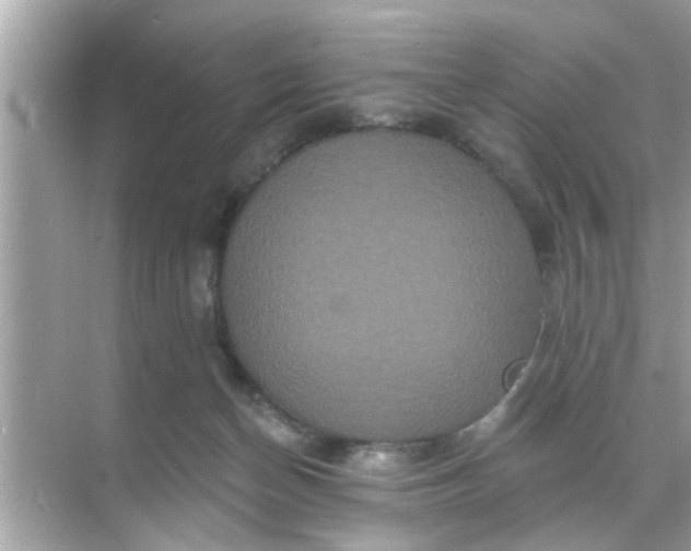 X0000070860174200606302055