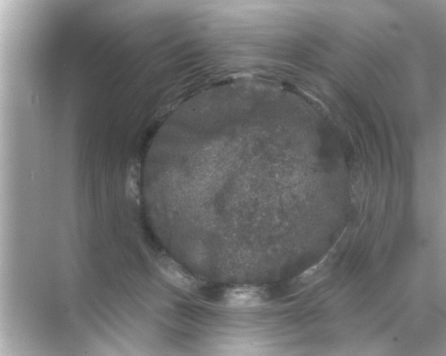 X0000070860175200606302055