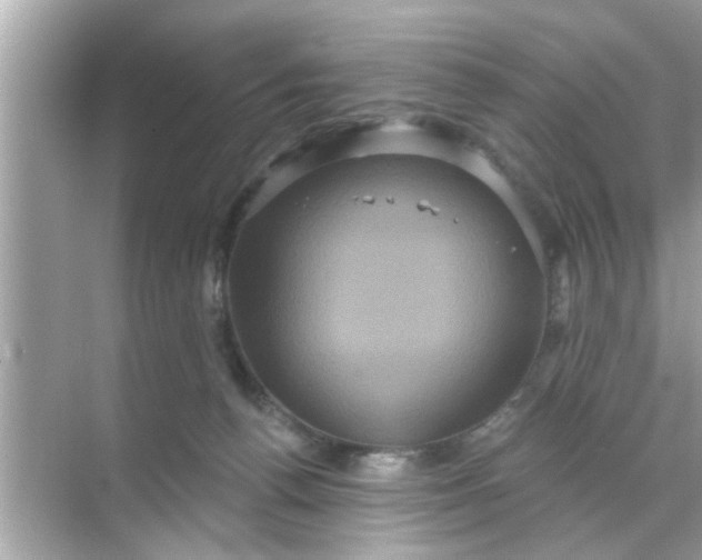 X0000070860176200606302055