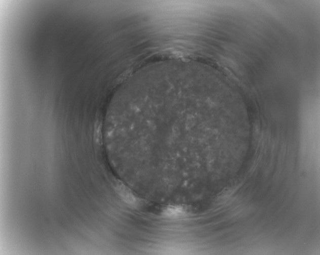 X0000070860177200606302055