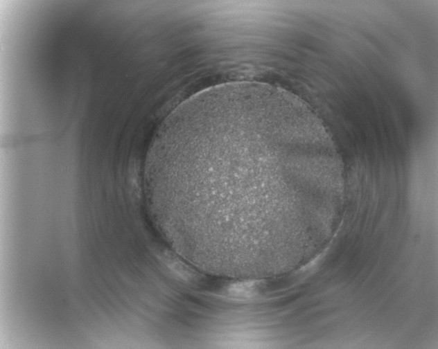 X0000070860178200606302055