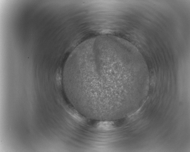 X0000070860179200606302055