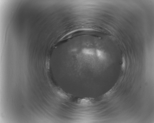 X0000070860180200606302055