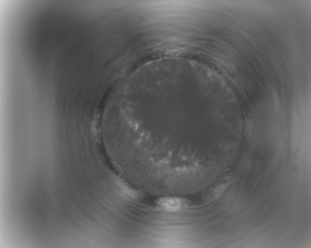 X0000070860181200606302055