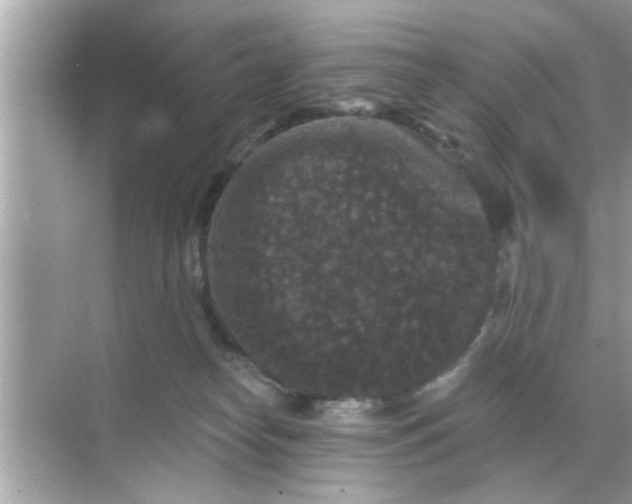 X0000070860182200606302055