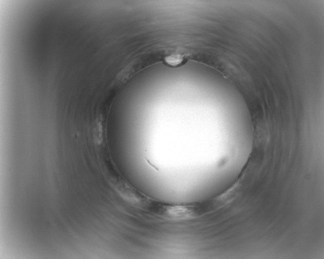 X0000070860183200606302055