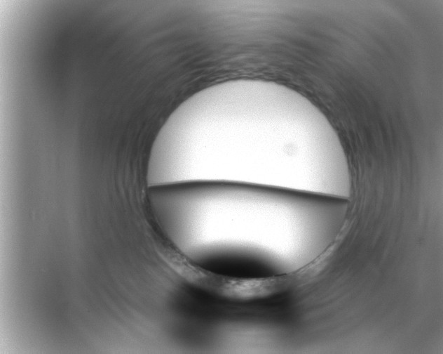 X0000070860186200606302055