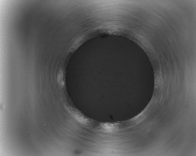 X0000070860187200606302055