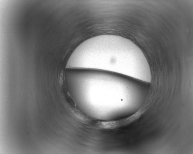 X0000070860188200606302055