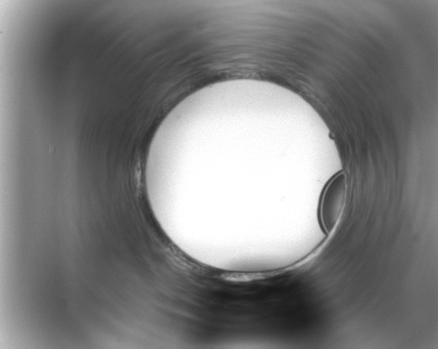 X0000070860190200606302055