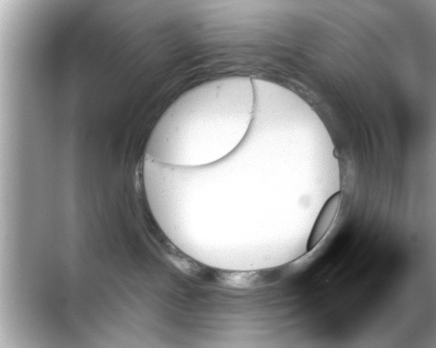 X0000070860191200606302055