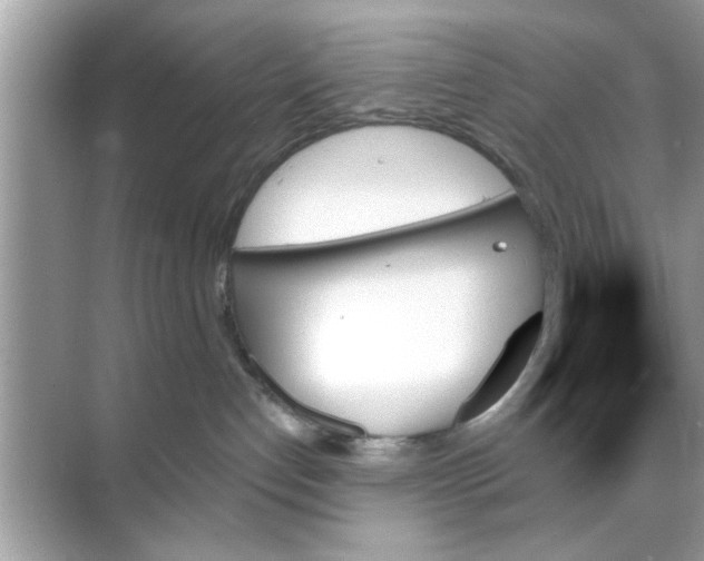 X0000070860192200606302055