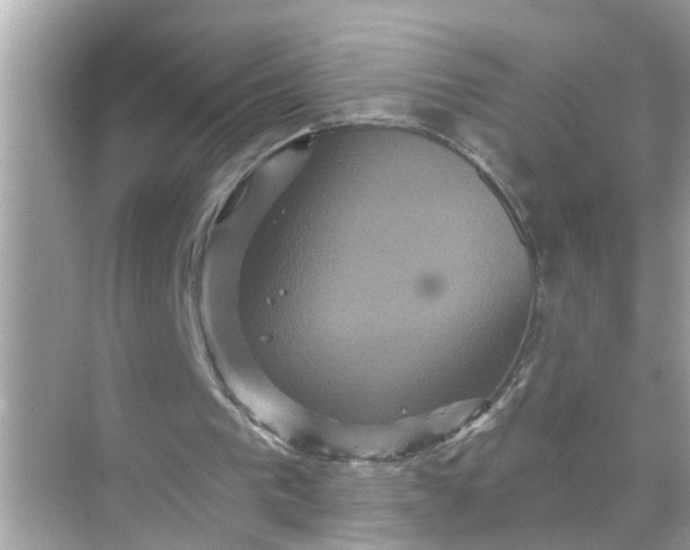 X0000070860193200606302054